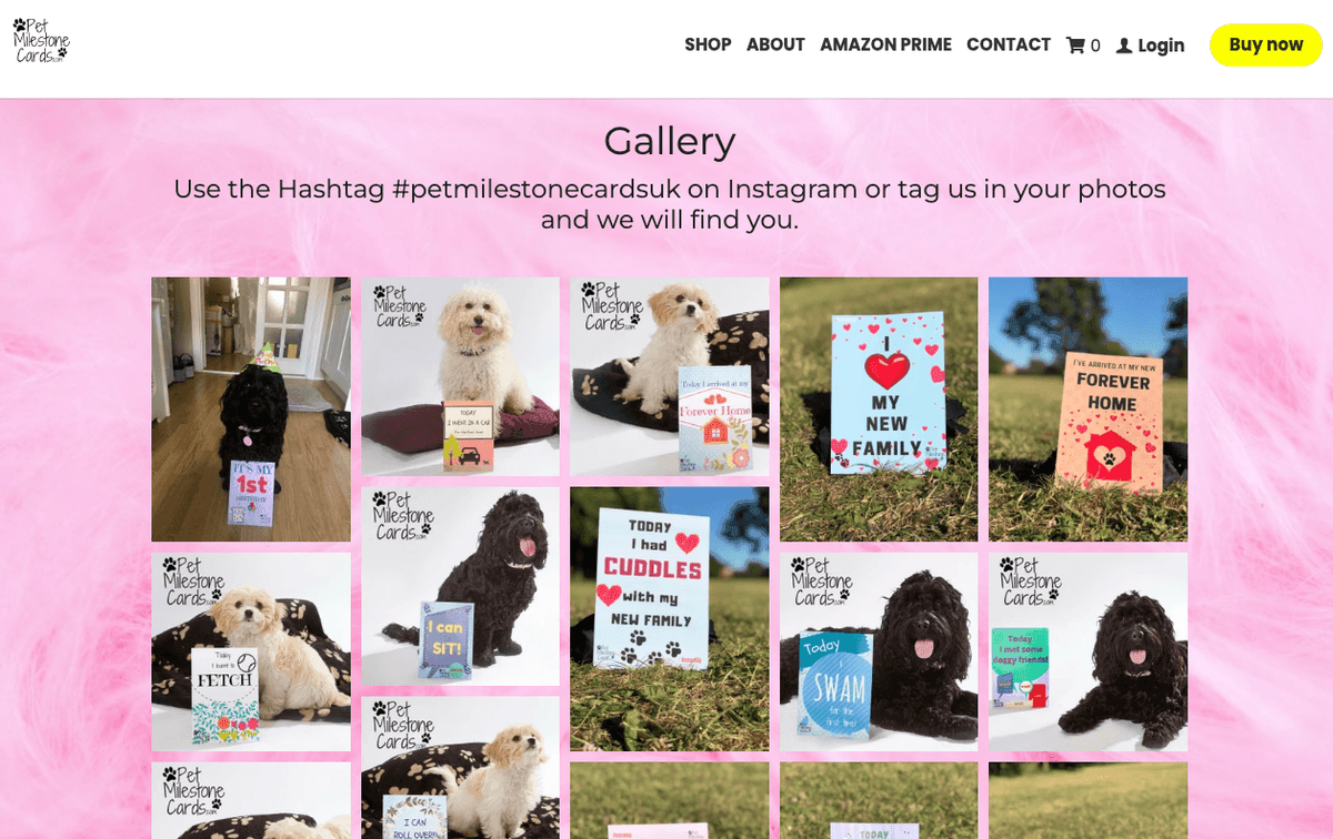 sitio web de tarjetas de hits para mascotas