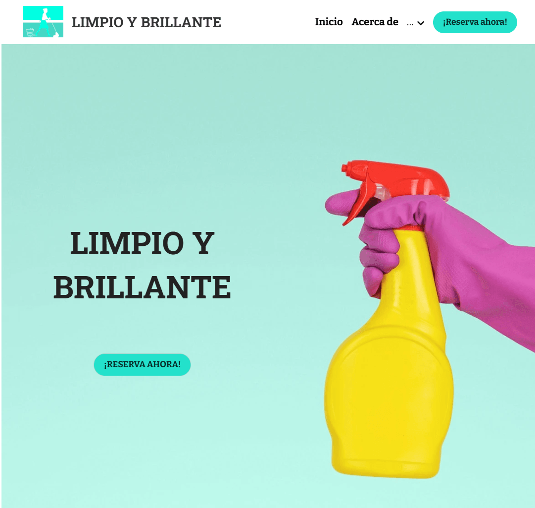 Szablon Clean & Shine od Strikingly