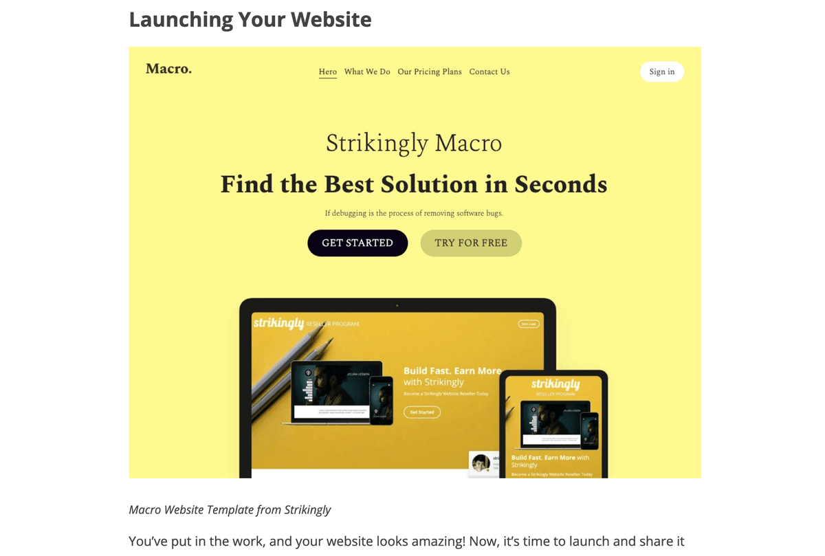 Makrovorlage von Strikingly