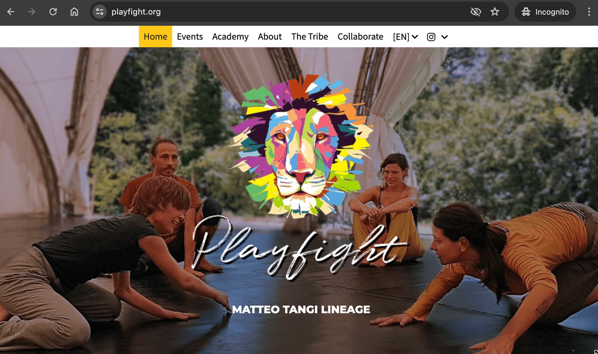 nazwa domeny i hosting playfight z uderzająco