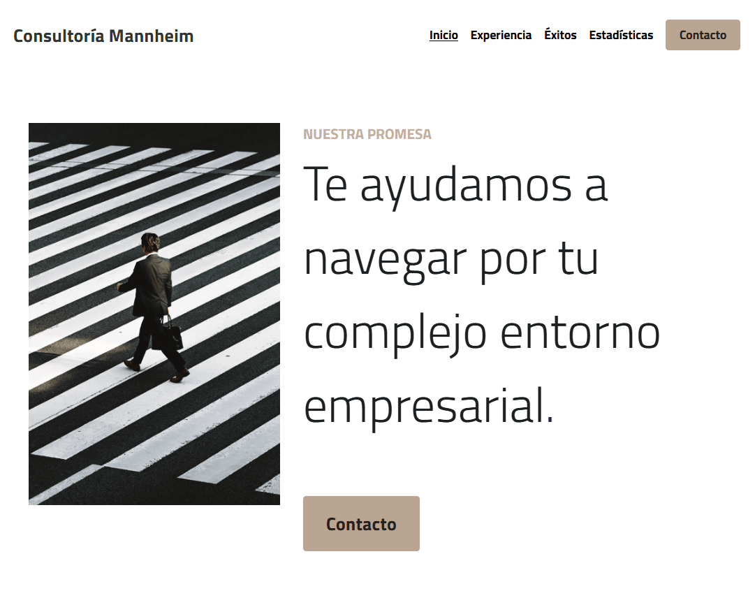 Plantilla de Mannheim de Strikingly