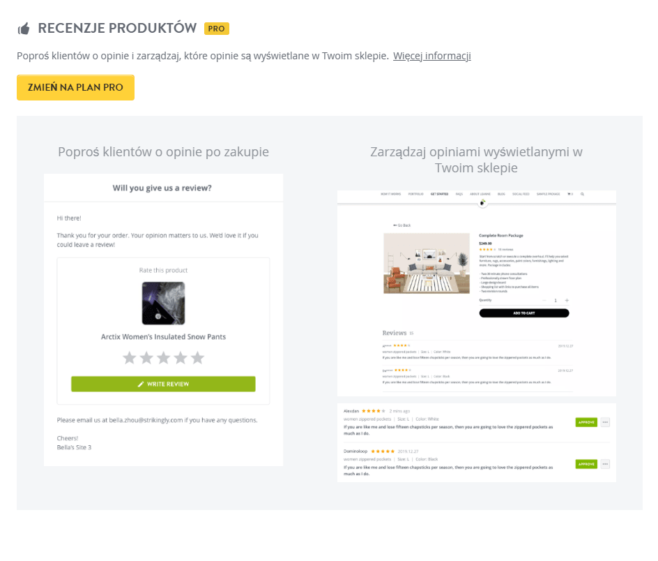 Funkcja recenzji produktu Strikingly