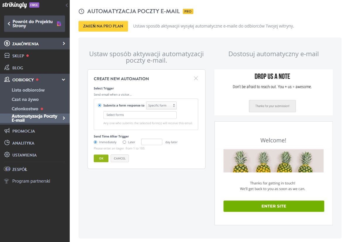 Funkcja automatyzacji wiadomości e-mail Strikingly