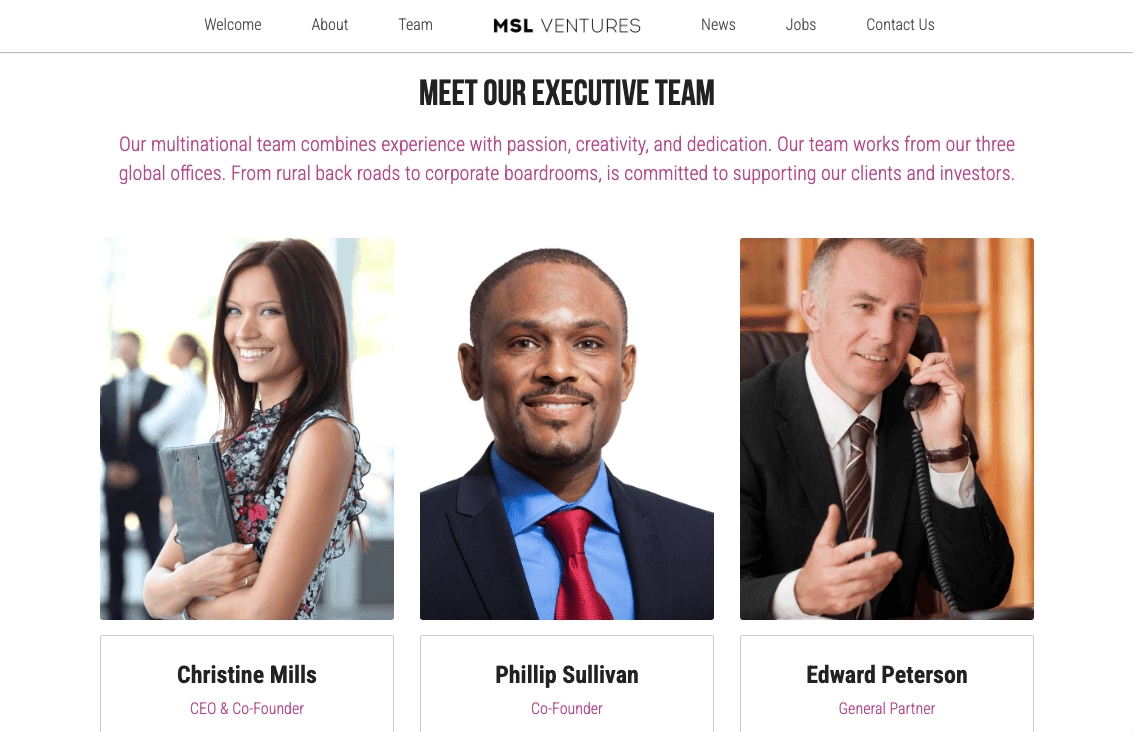 Szablon MSL Ventures od Strikingly