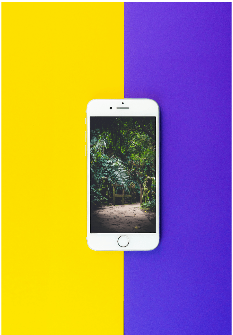 Wie man mit dem iPhone bessere Fotos macht