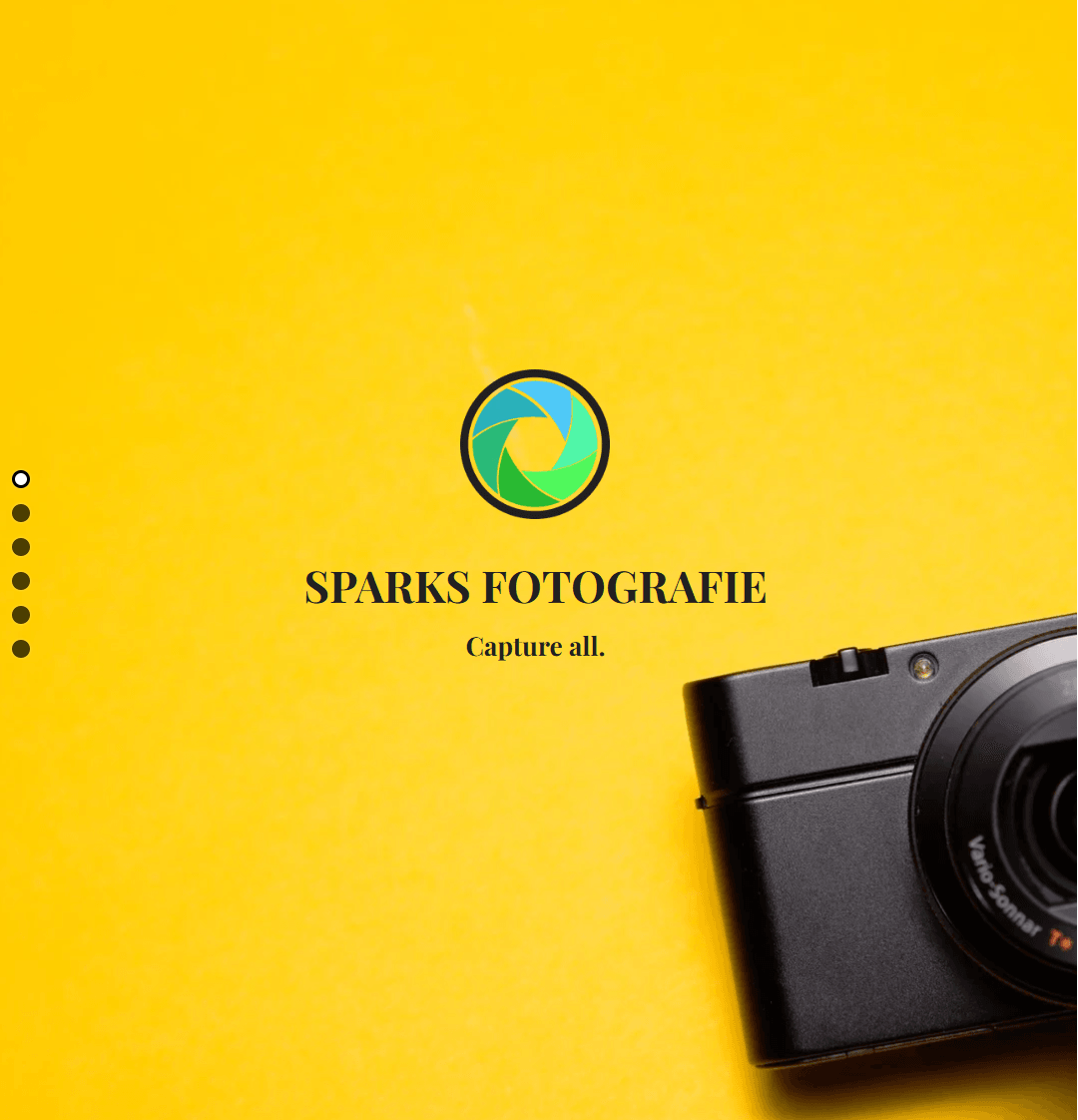Sparks-Vorlage von Strikingly