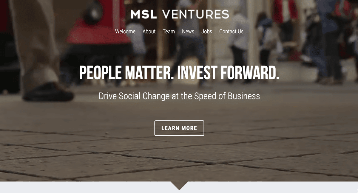 Szablon MSL Ventures od Strikingly