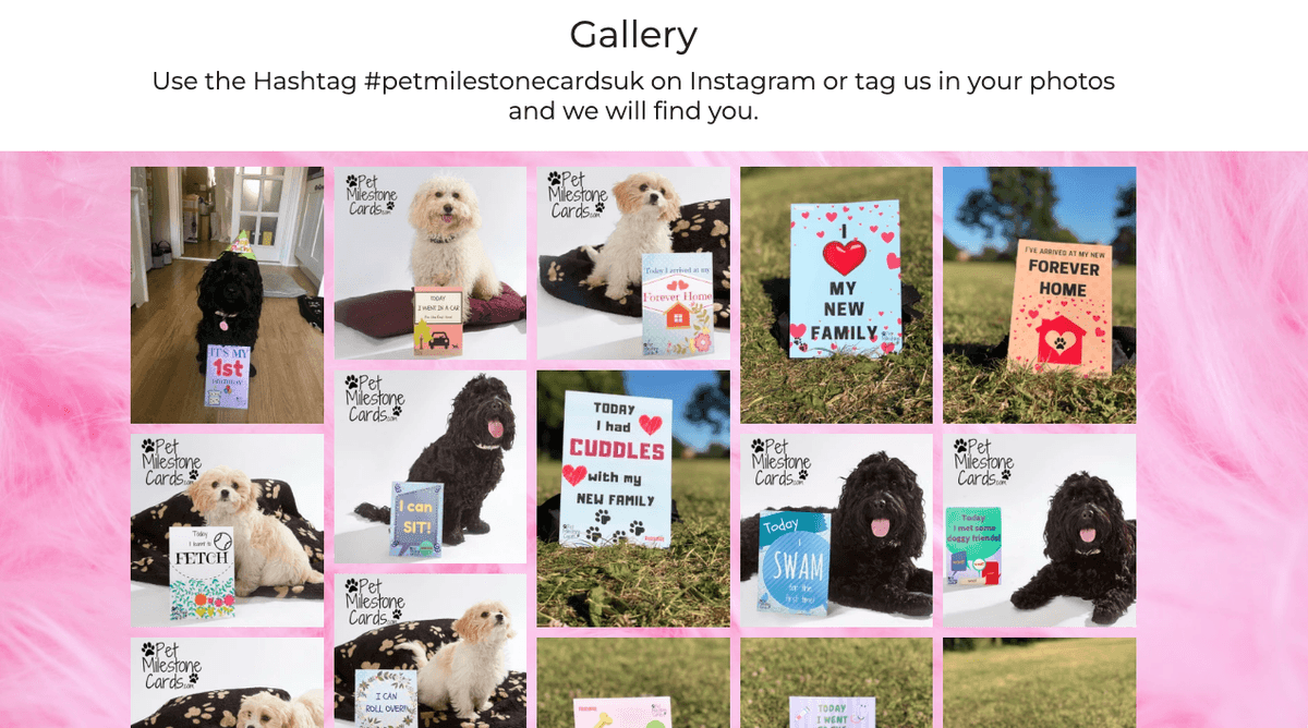 Sitio web de tarjetas de hitos para mascotas