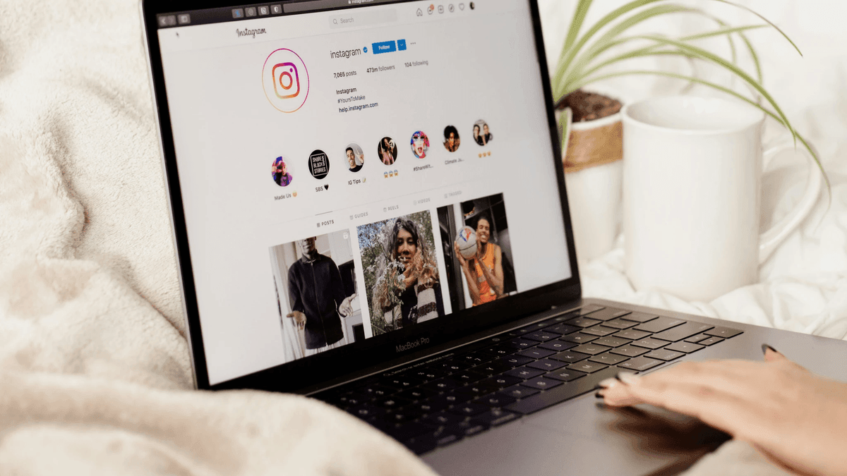Curación de contenido