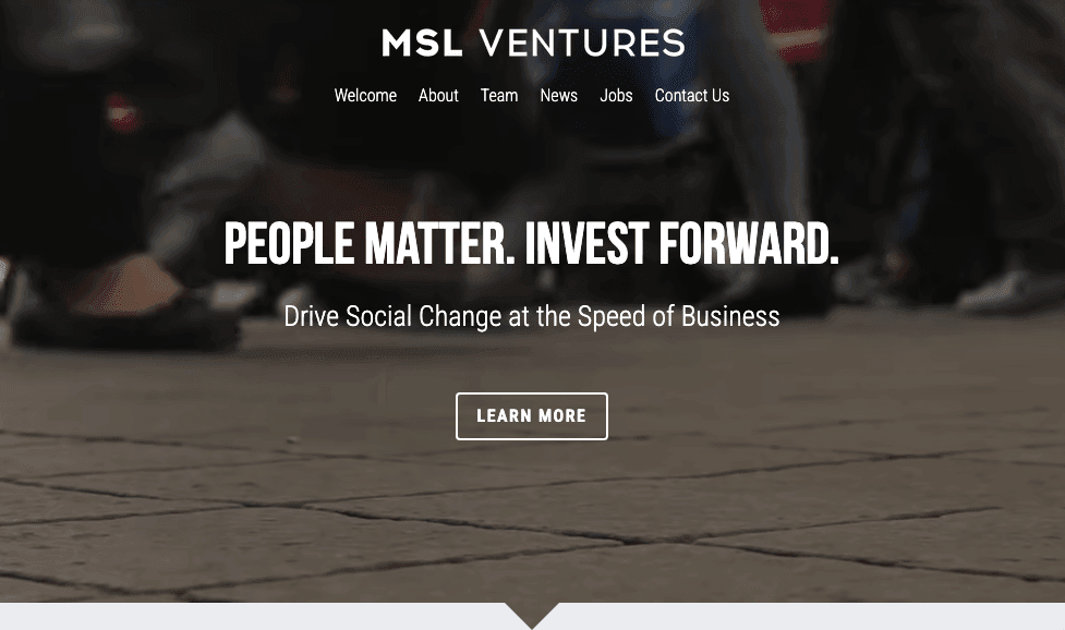 Szablon MSL Ventures od Strikingly