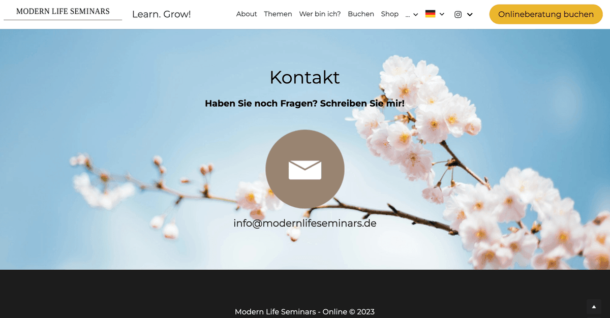 Seminare zum modernen Leben, Geschäfts-E-Mail
