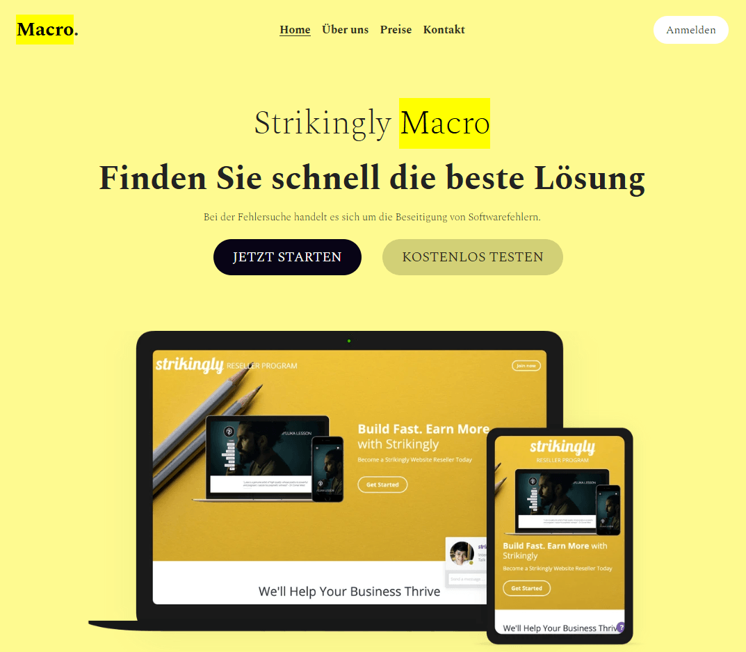 Macro Business Template von Strikingly