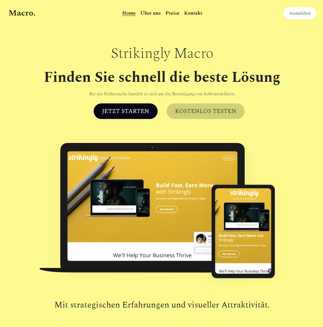 Makrovorlage von Strikingly