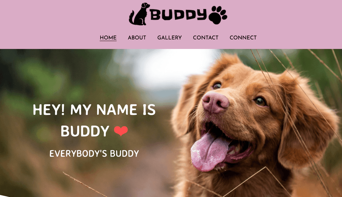 Buddy-mallipohja Strikinglyltä