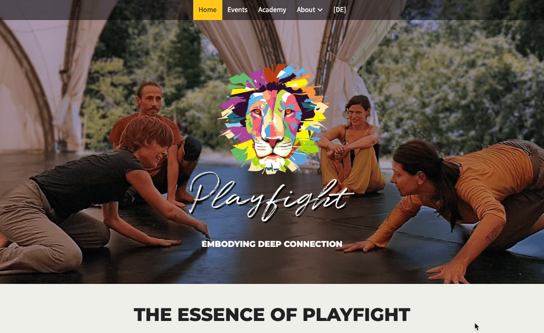 Sitio web de Playfight