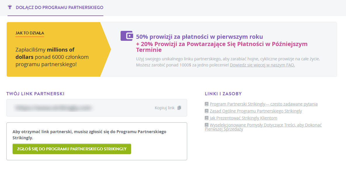 Program Partnerski Strikingly