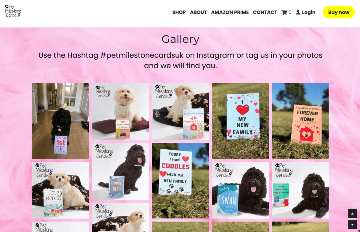 Maximieren Sie Ihren ROI mit Instagram Story Ads.