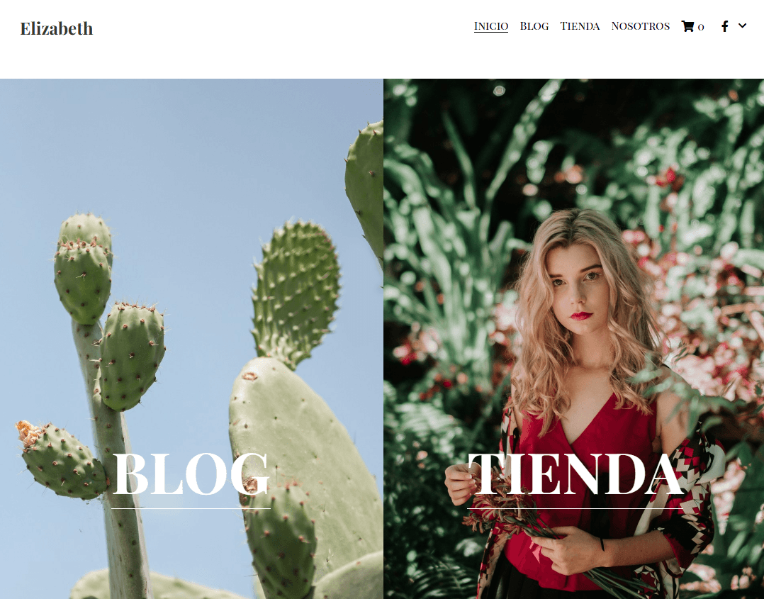 Plantilla de suculentas de Strikingly