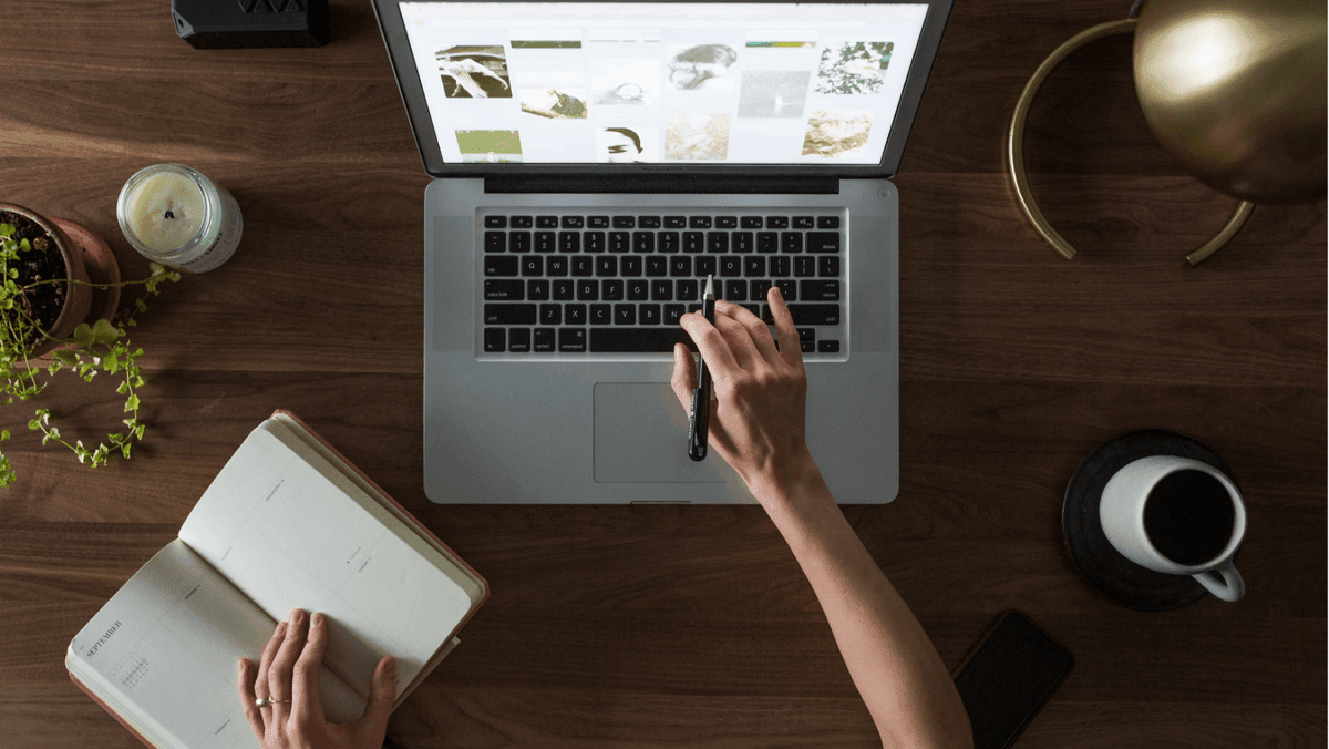 El creador de sitios web más fácil para principiantes.