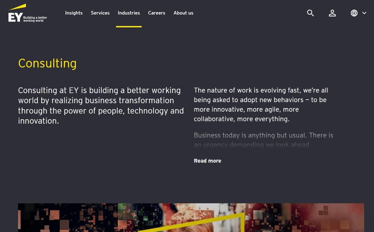 Sitio web de Ernst & Young Consulting