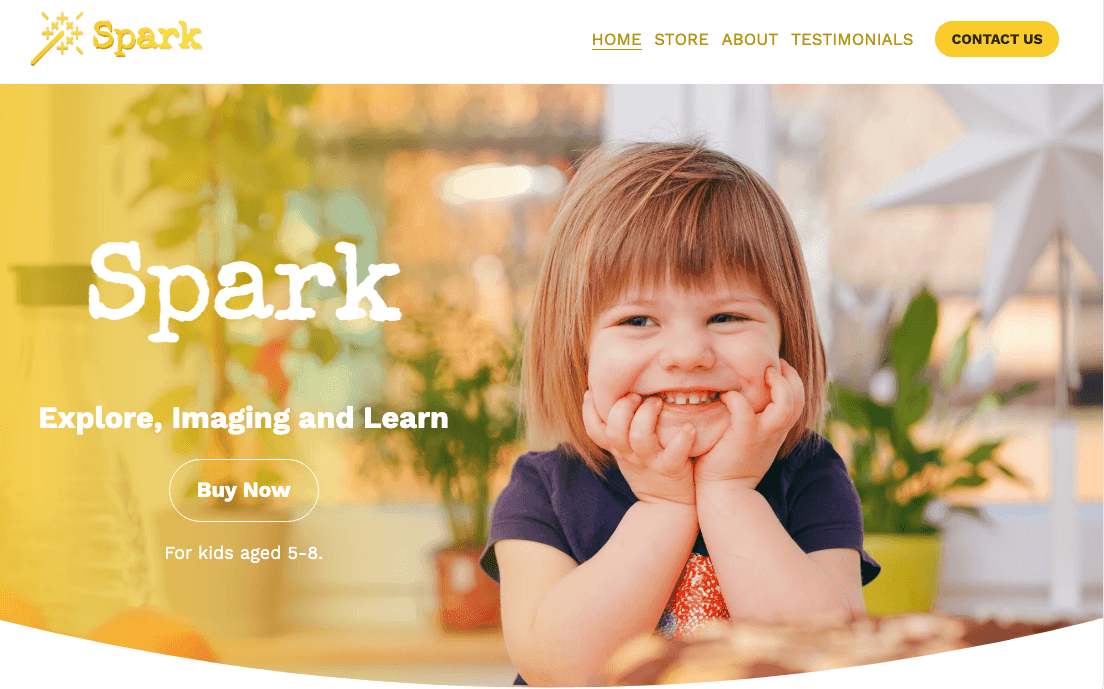 Spark-Vorlage von Strikingly