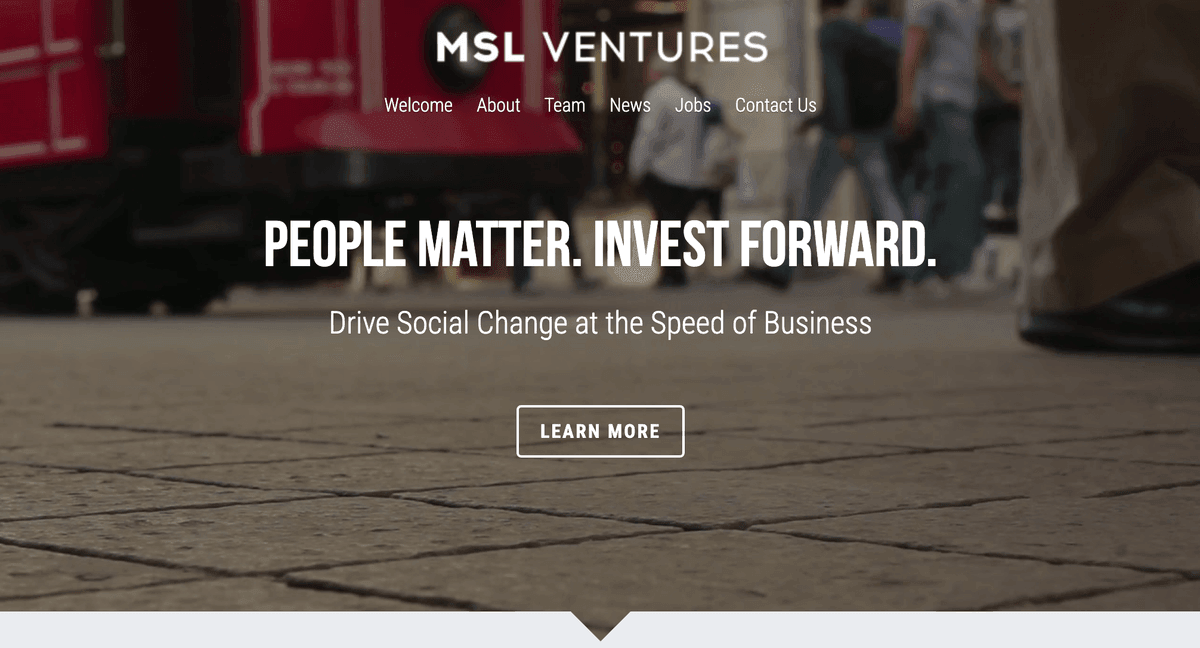 Szablon MSL Ventures od Strikingly