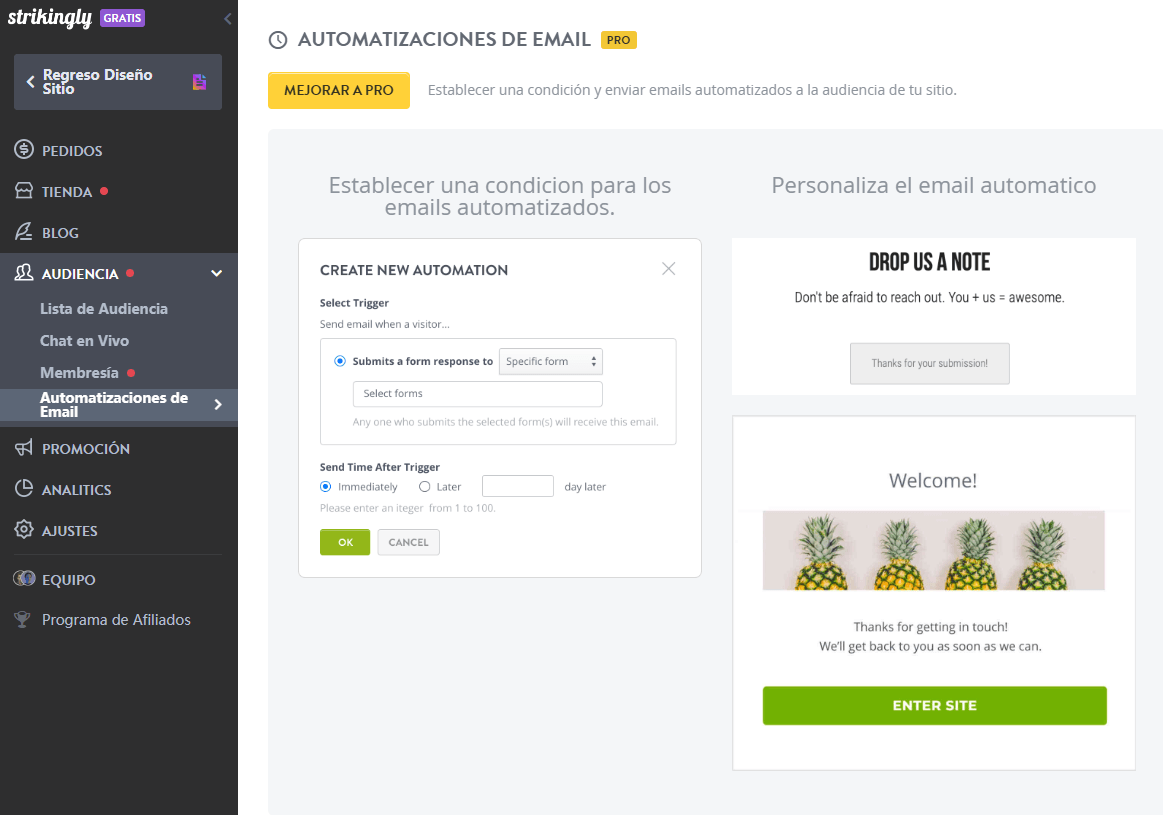 E-Mail-Automatisierungsfunktion von Strikingly