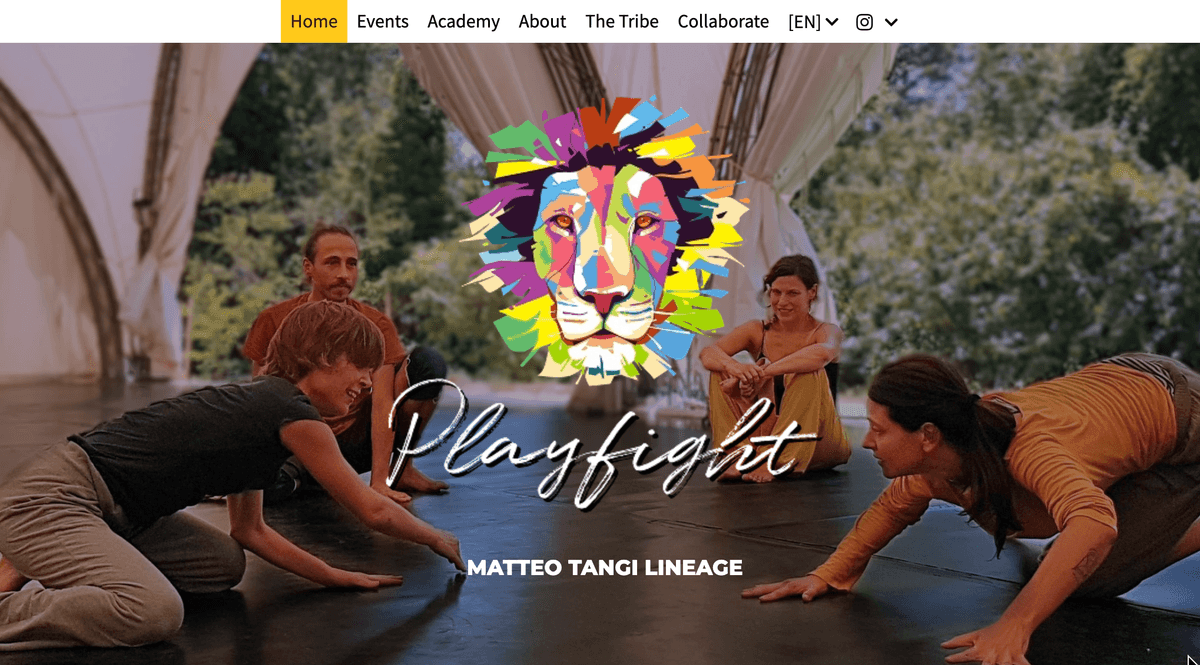 kolory logo playfight