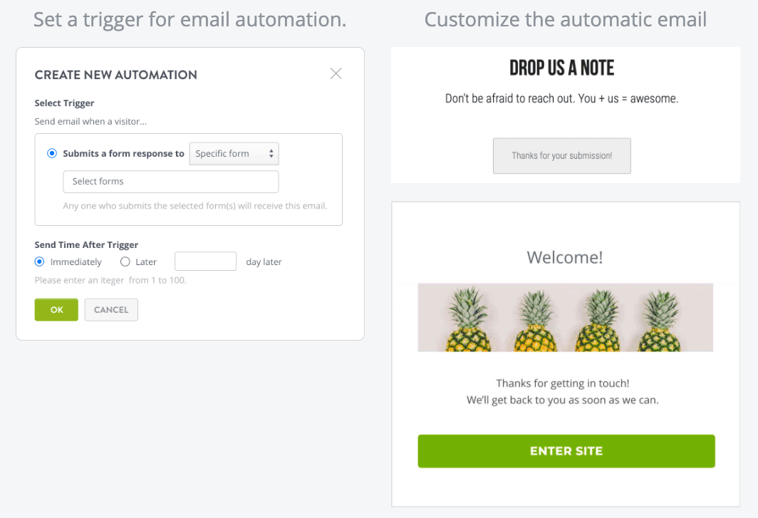 Funkcja automatycznej wysyłki wiadomości e-mail od Strikingly