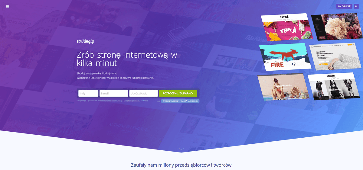 Uderzająca strona docelowa
