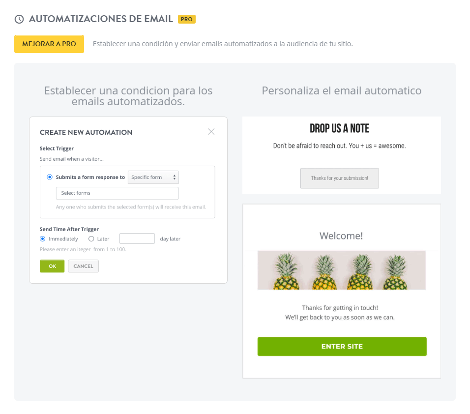 Automatización de correo electrónico sorprendente