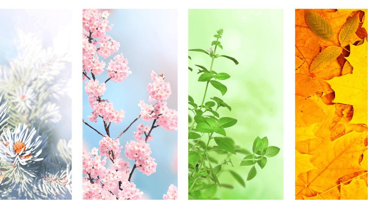 Pautas de tamaño de imágenes del sitio web