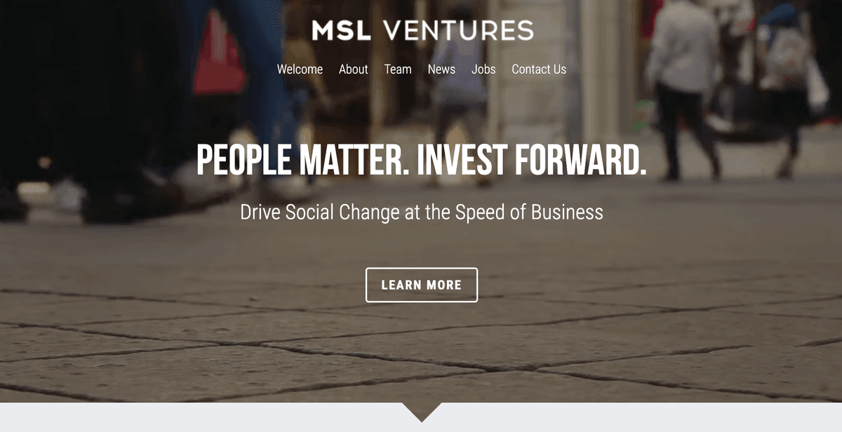 Szablon MSL Ventures od Strikingly