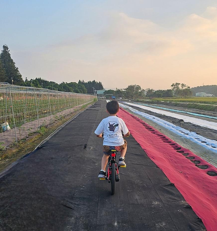 JTS金泰順觀光農場