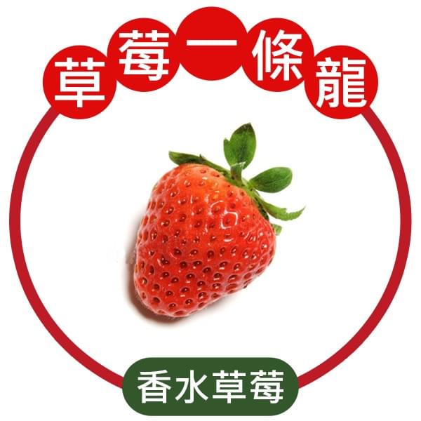 香水草莓