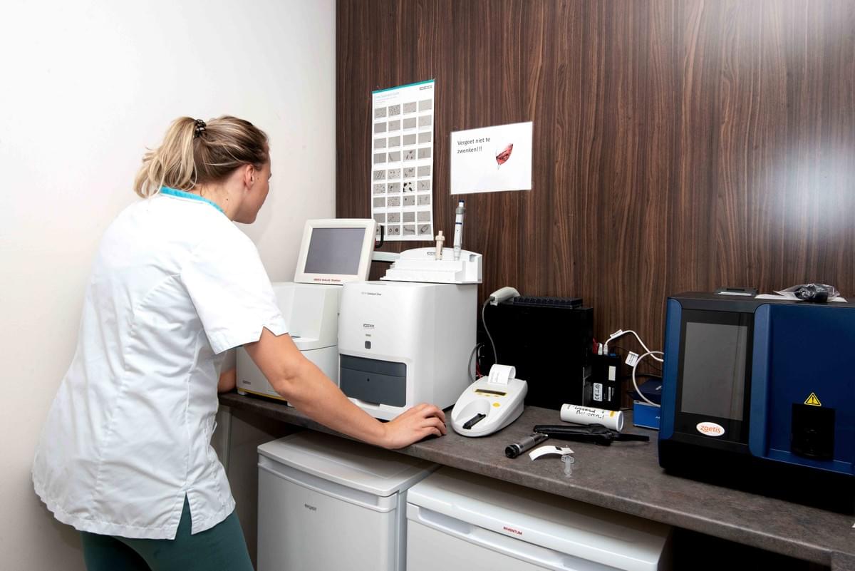 dierenarts midden in zijn/haar carrière