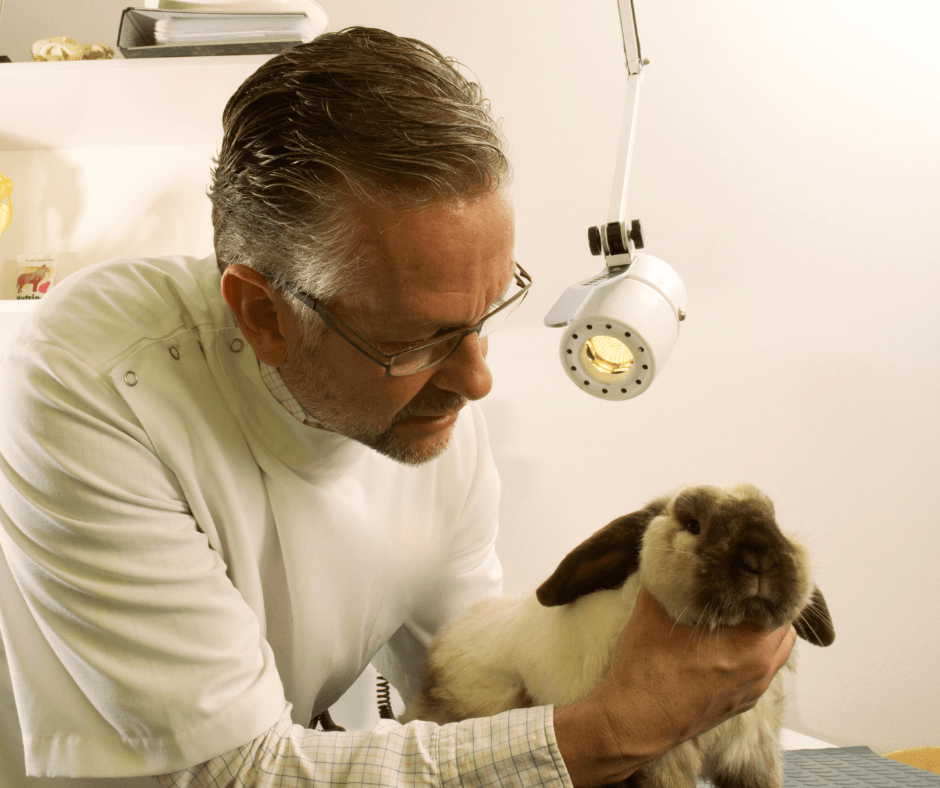 dierenarts met pensioen