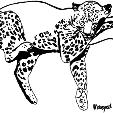 Section image