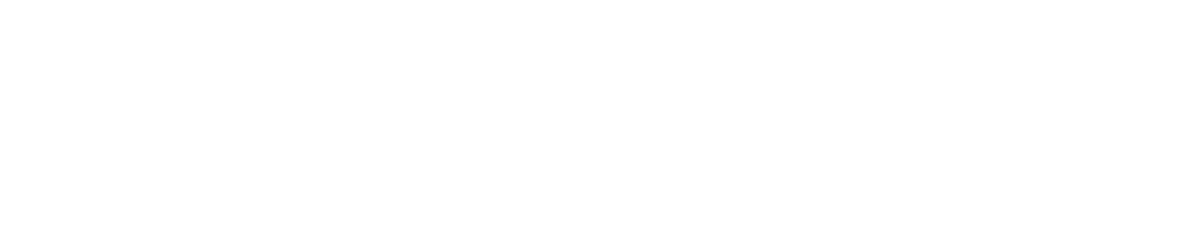 The 99 Fund