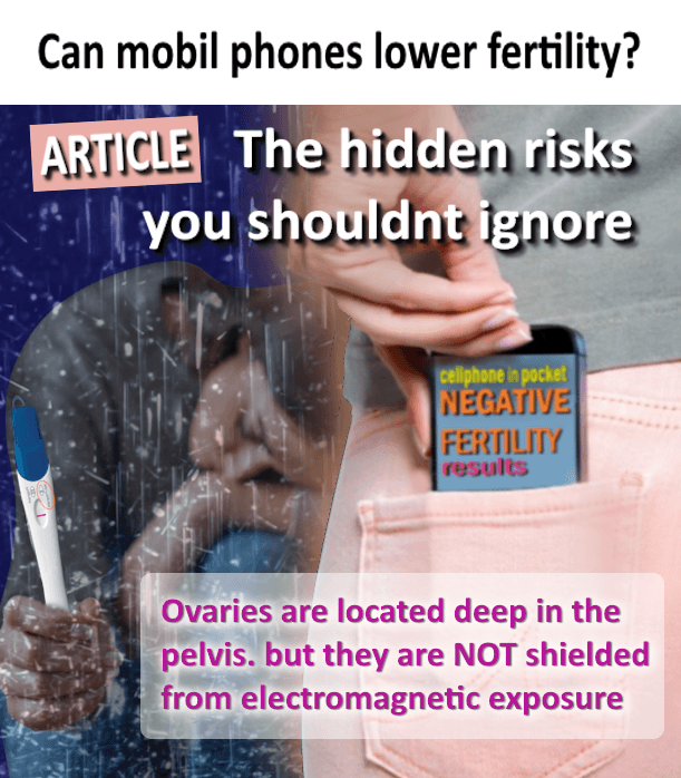 cellphone radiation risk