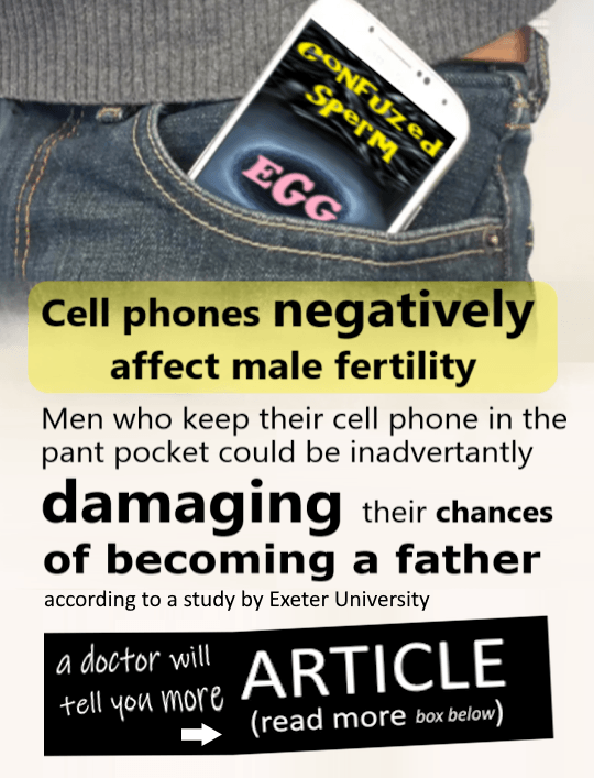 cellphone radiation on fertility