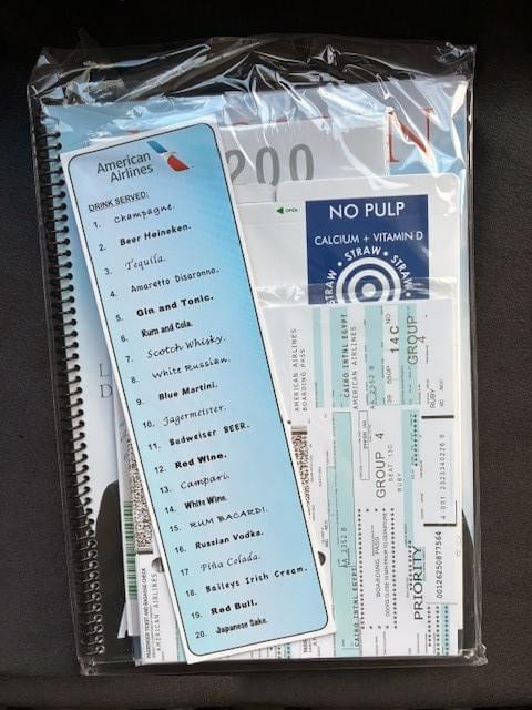 Airplane Mode by George Iglesias 