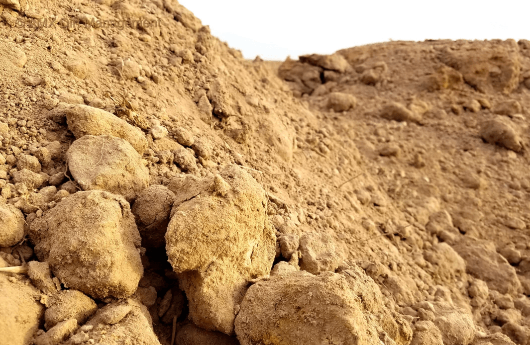 Best Hauling service in St. Louis, MO