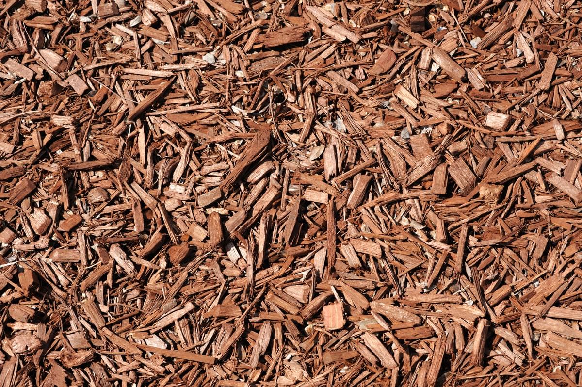 Why Hire a Mulching Service?