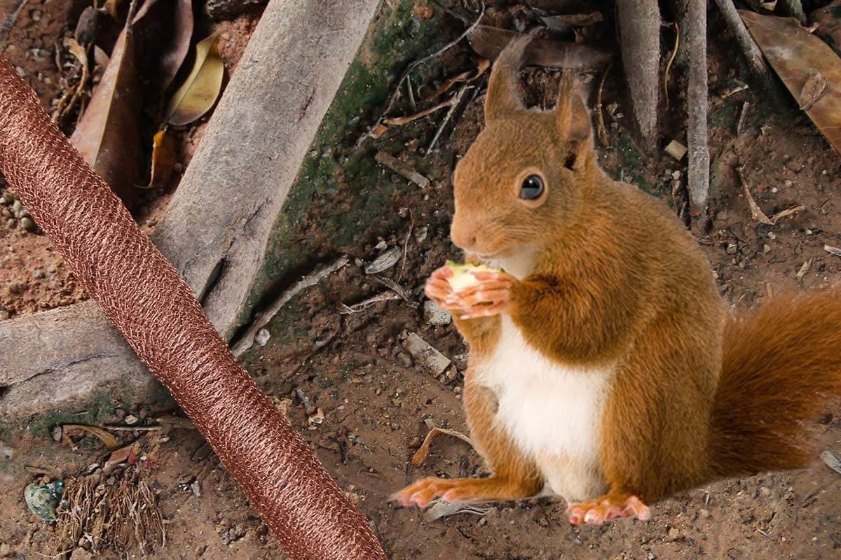 Rodent Copper Mesh