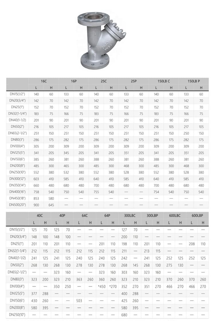 Flange Y Strainer