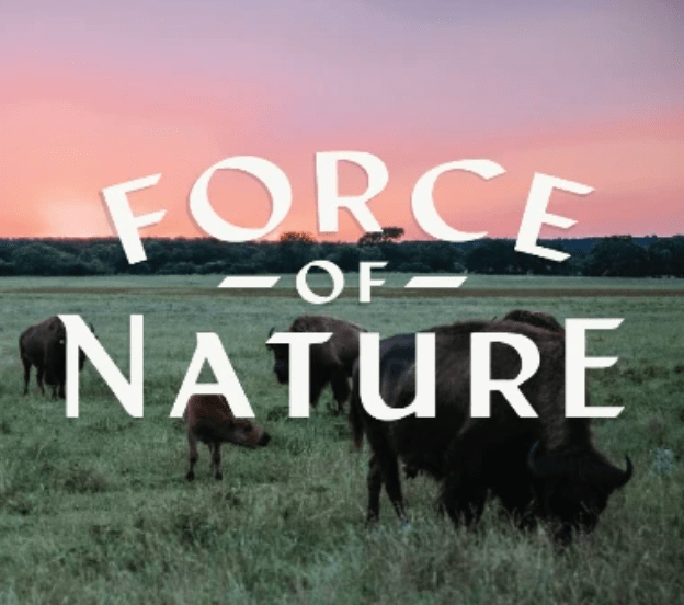 Force of Nature