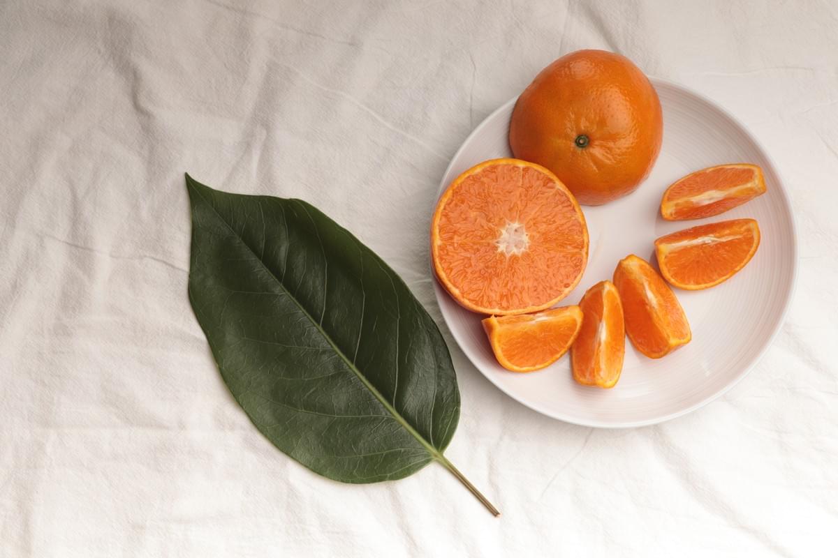 帝王柑 茂谷柑 美人柑 佛利蒙 高級橘子禮盒 水果禮盒 高級水果禮盒