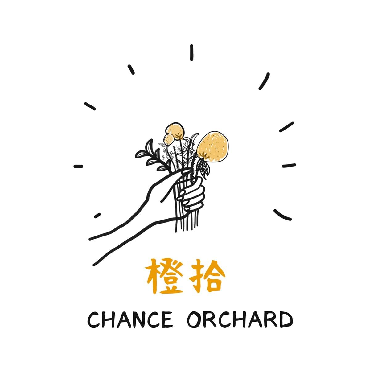 帝王柑 茂谷柑 美人柑 佛利蒙 高級橘子禮盒 水果禮盒 高級水果禮盒