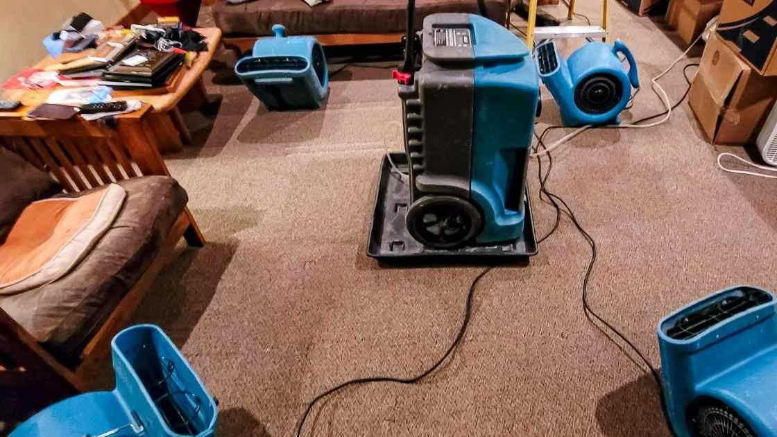 Moisture Removal in Montgomery and Grimes County Moisture Removal in Montgomery and Grimes County